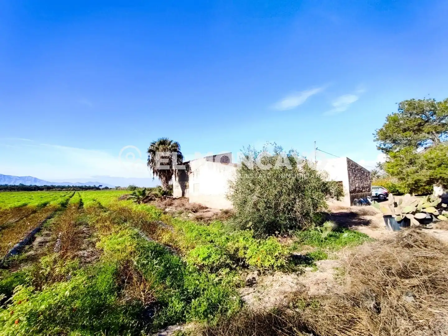 Casa o chalet en venta en San Isidro con Jardín privado