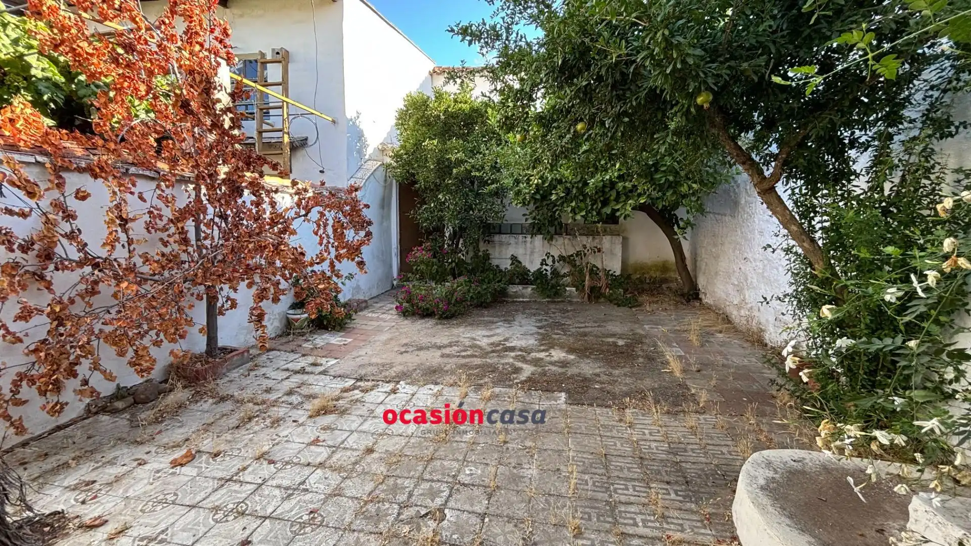 Casa con jardín en venta en Belmez, imagen 5