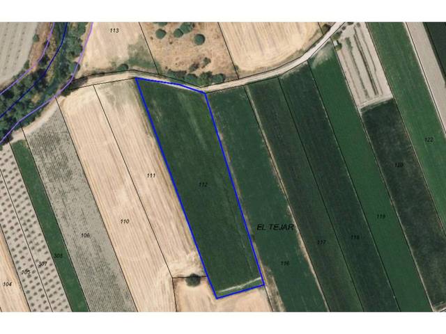 Terreno en Venta en Láchar