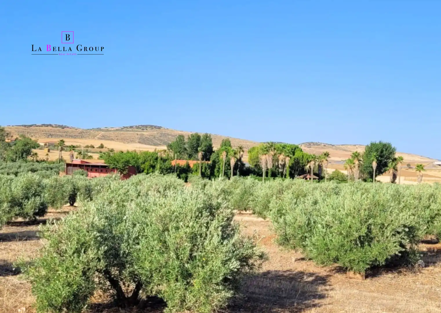 Finca rústica en venda en Santa Cruz de Mudela amb Aire condicionat, Jardí privat i Terrassa