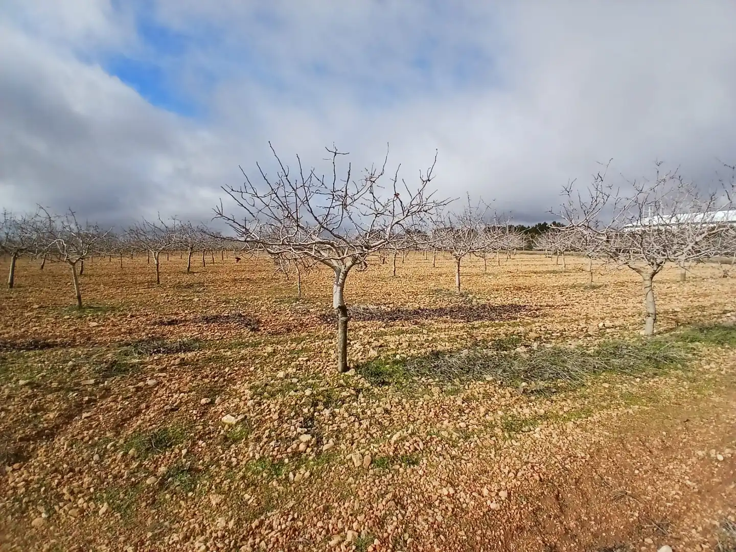 Rural land for sale in Carretera Solana, imagen 5