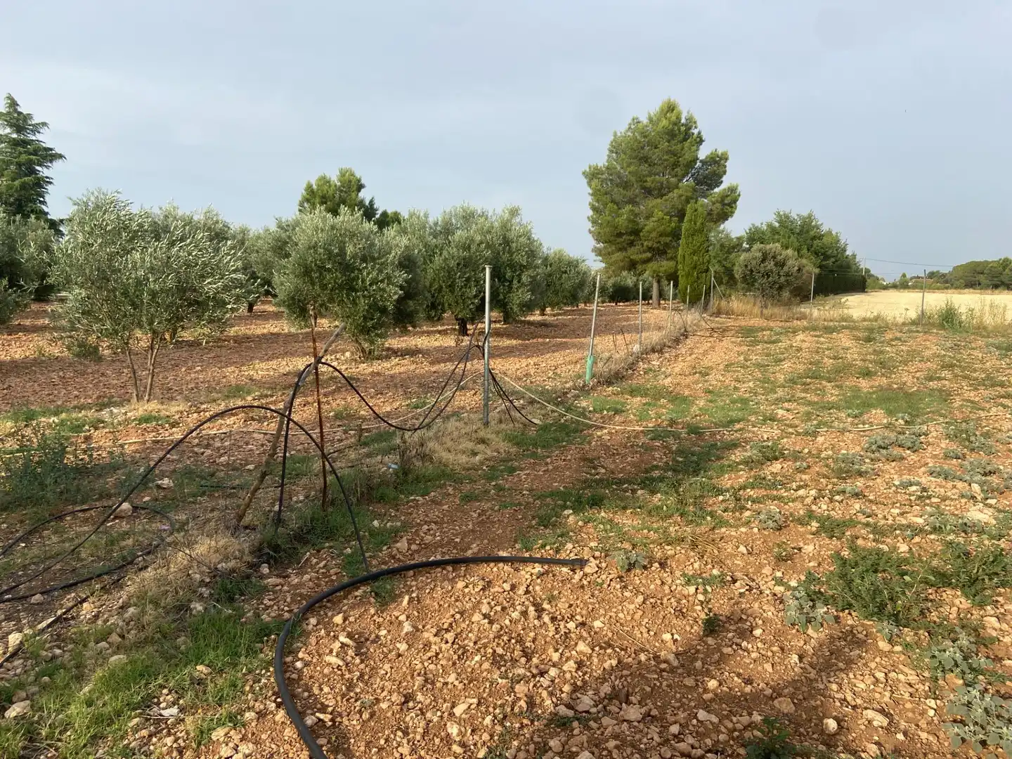 Casa o chalet en venta en Ciudad Real con Aire acondicionado, Calefacción y Jardín privado