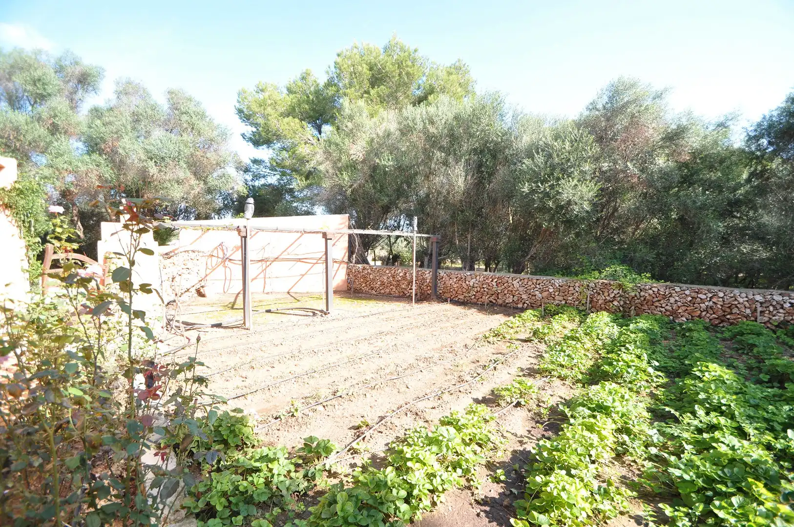 Xalet amb piscina en venda a Sant Lluís - S'Ullestrar - Torret, imagen 7