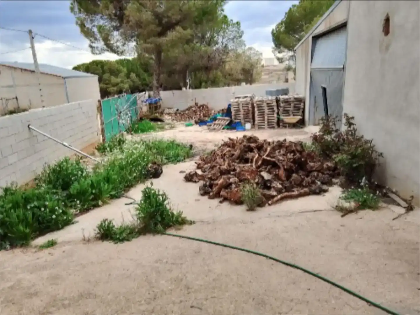 Jardí de Finca rústica en venda en Quintanar del Rey, Cuenca