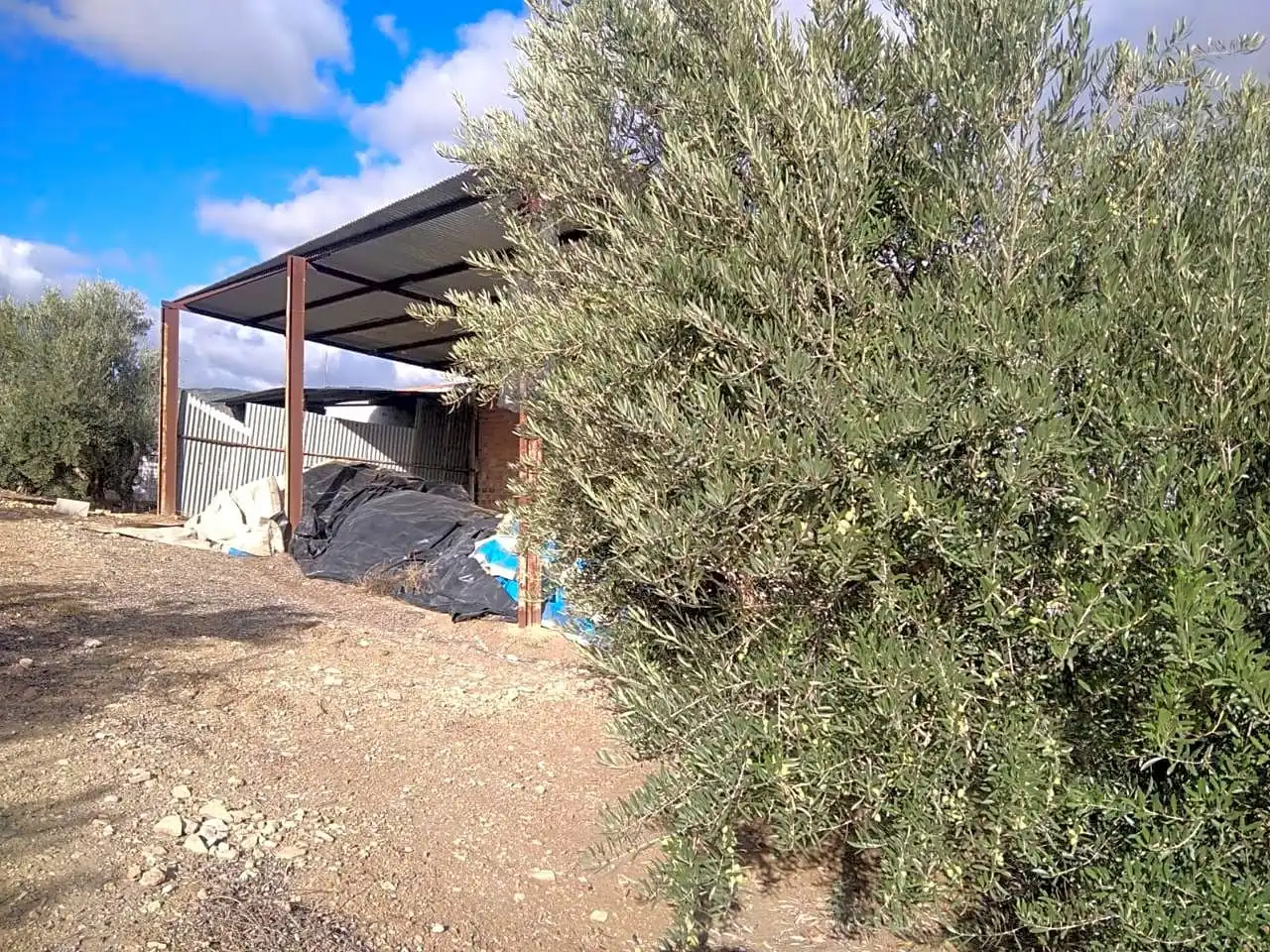 Finca rústica en venta en Benalúa de las Villas con Jardín privado, Terraza y Trastero