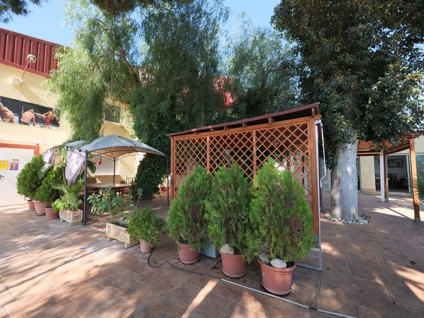 Terraza de Nave industrial en venta en Almoradí
