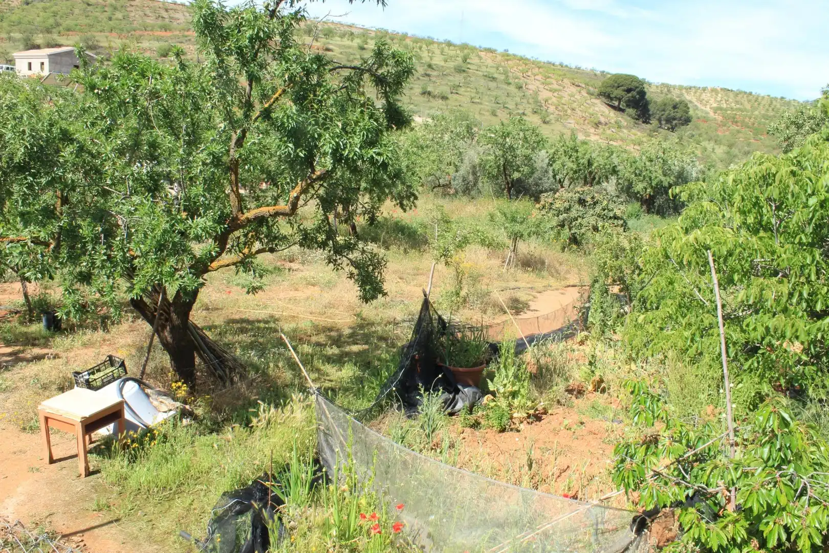 Terreno en venta en Nigüelas