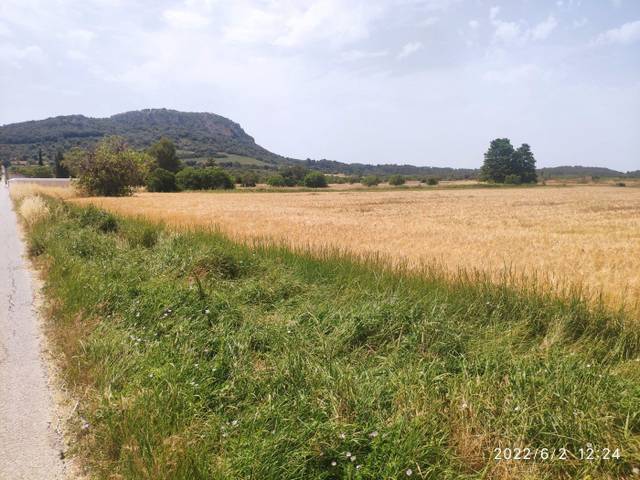 Terreno residencial en Venta en Sineu