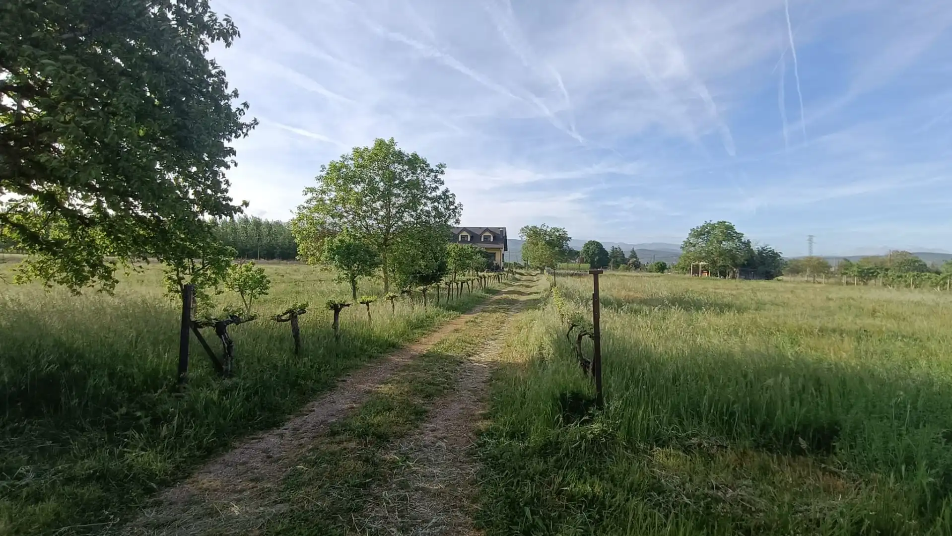 Casa o xalet en venda en Carracedelo amb Calefacció, Jardí privat i Terrassa