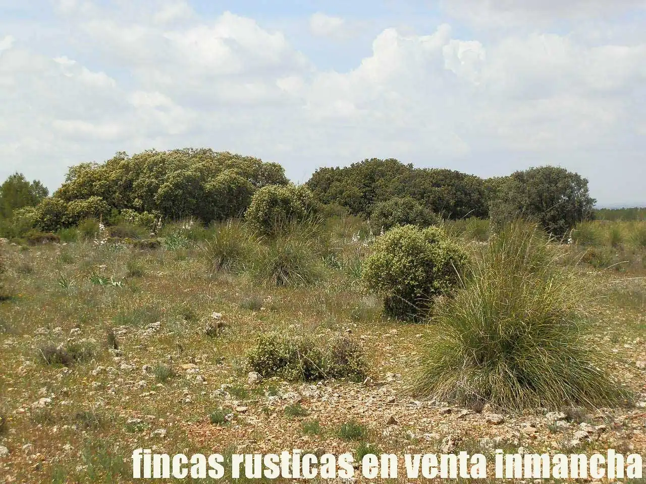 Terreno rustico in vendita a Ruidera, imagen 11