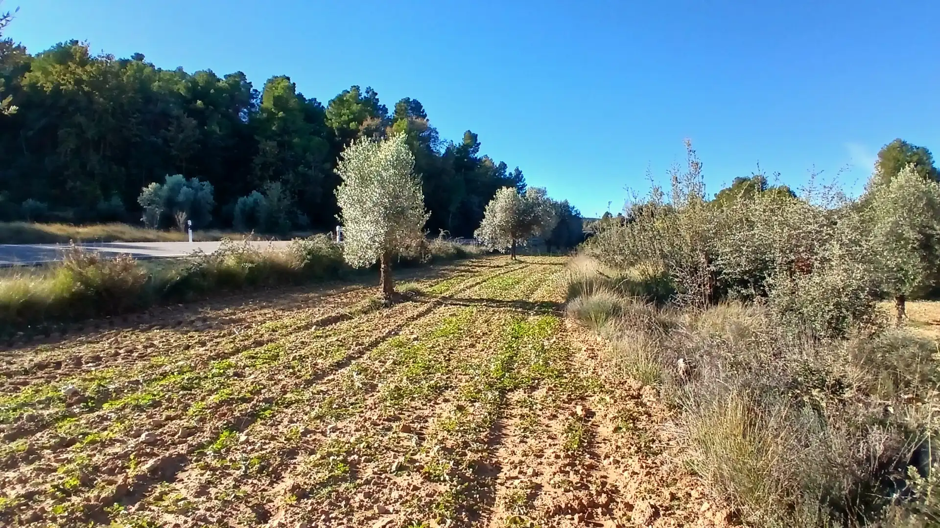 Terreno rustico in vendita a N/A, imagen 14