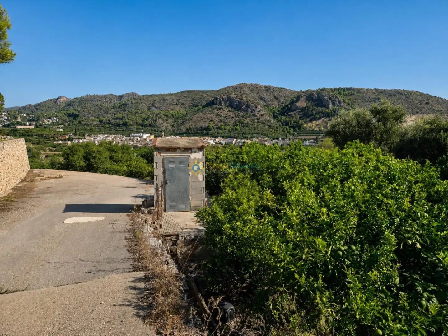 Rural land for sale in L'Atzúbia, imagen 2
