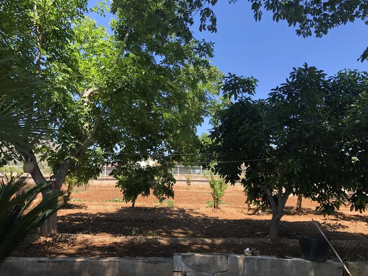 Maison rustique à vendre à Ondara, imagen 22