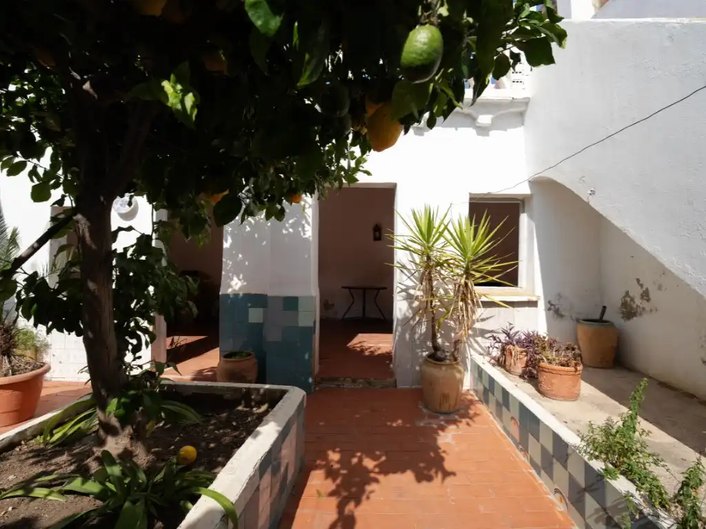 Garden of Houses for sale in Moncada