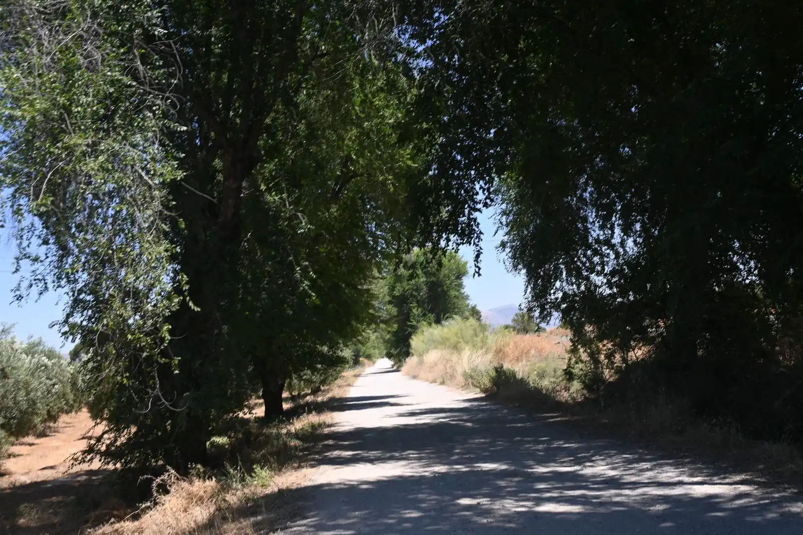 Terreni e lotti in vendita a Albolote, imagen 40