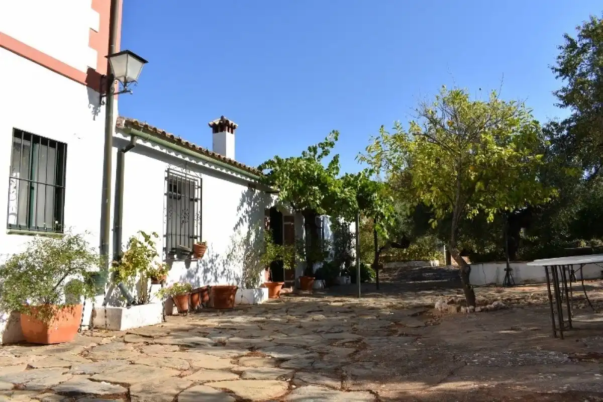 Garten von Country house zum Verkauf in Montoro mit Heizung, Möbliert und Alarm