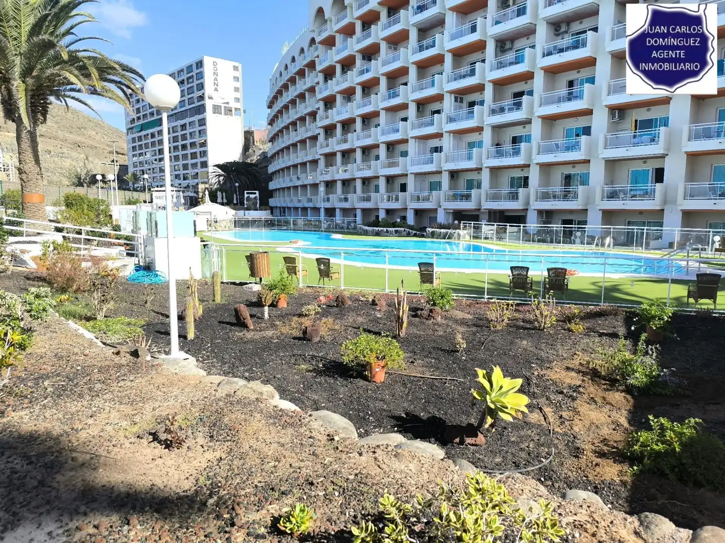 Swimming pool of Apartments for rent in Mogán  with Terrace, Furnished and Community pool