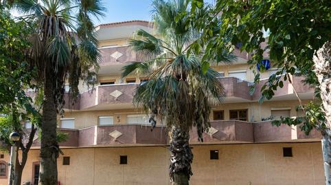 Foto 3 de Apartament en venda a Calle Isla Conejera, La Regia, Alicante