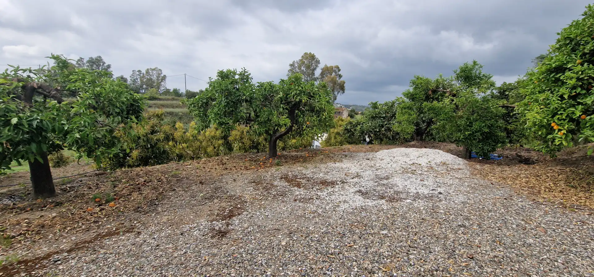 Casa rústica amb jardí en venda a Coín, imagen 8