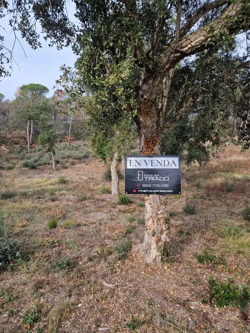 Residential land for sale in Avinguda Catalunya 47, imagen 2