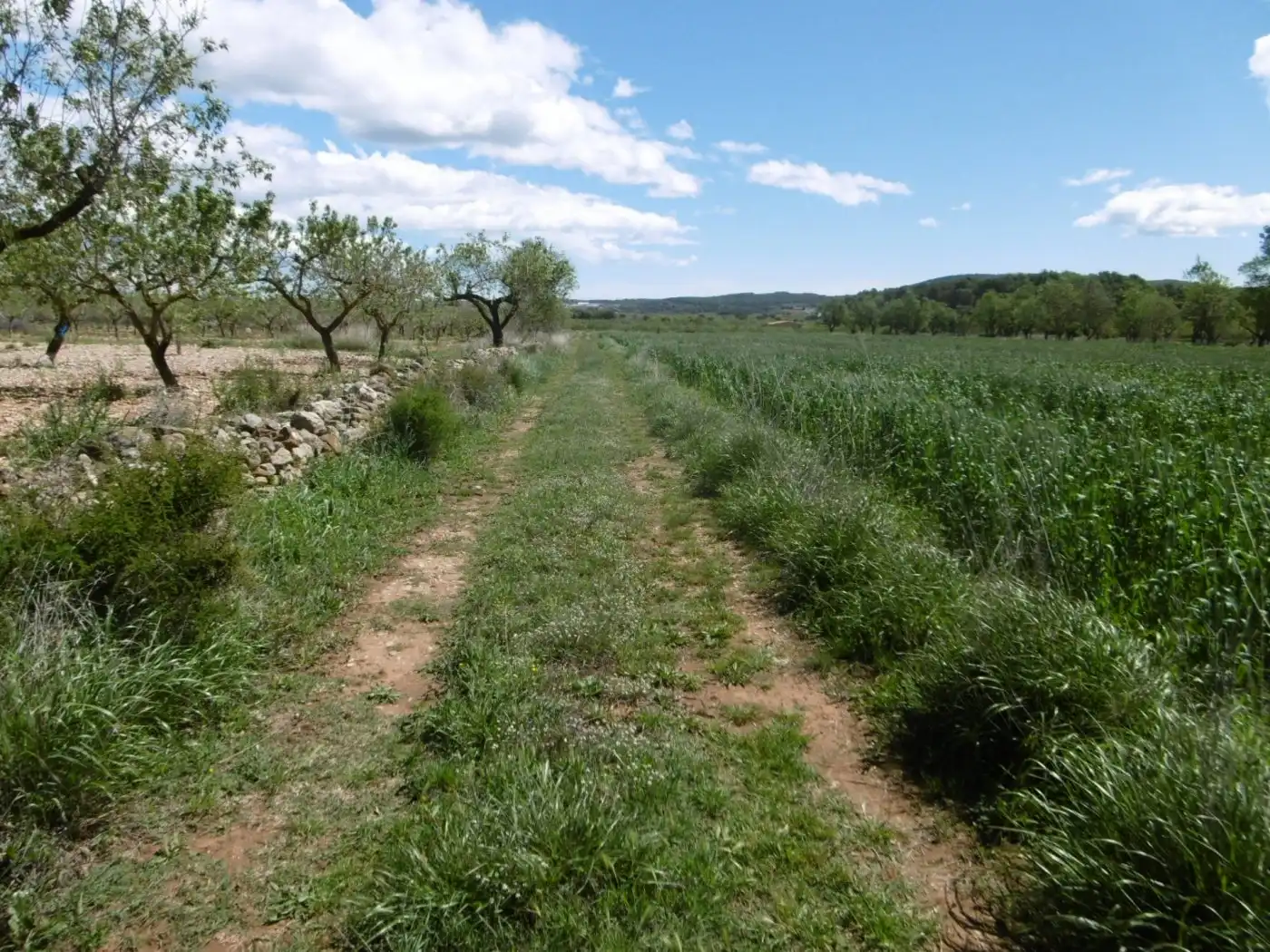 Terreno en venta en PARCELA, Benlloc