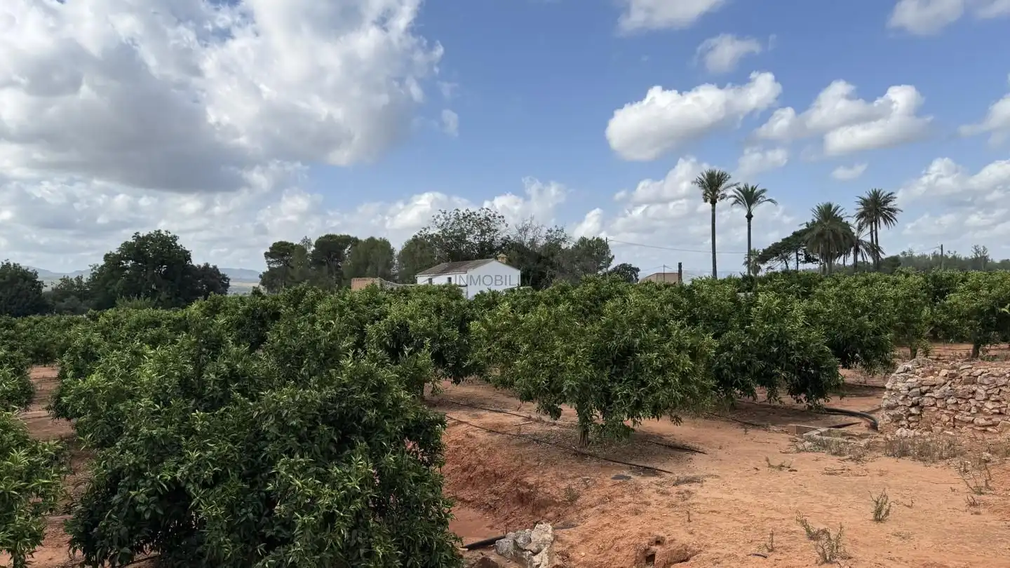 Casa rustica con giardino in vendita a Carcaixent, imagen 38