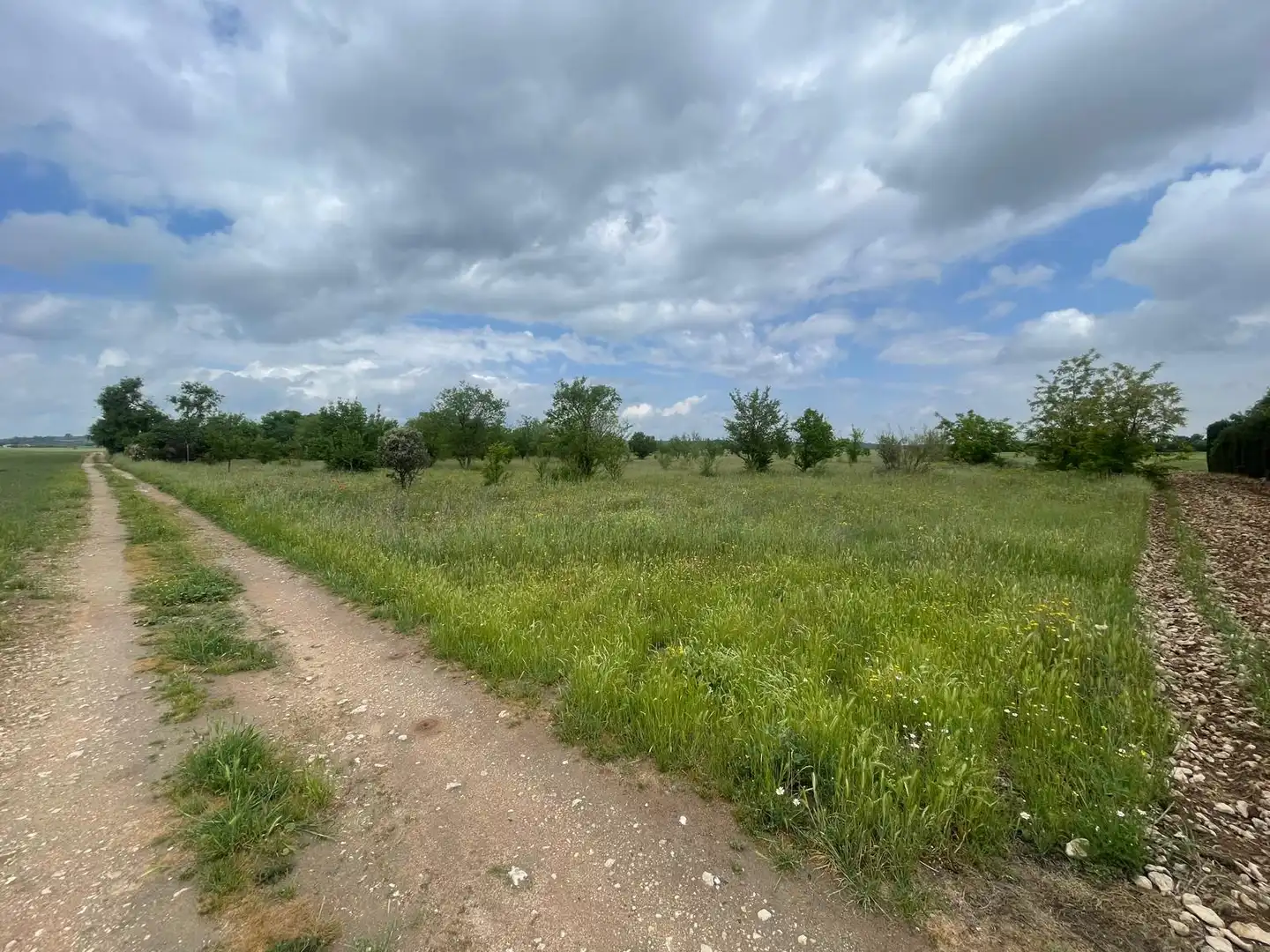 Rustikales Grundstück zum Verkauf in Carretera de Carrión 21, imagen 3