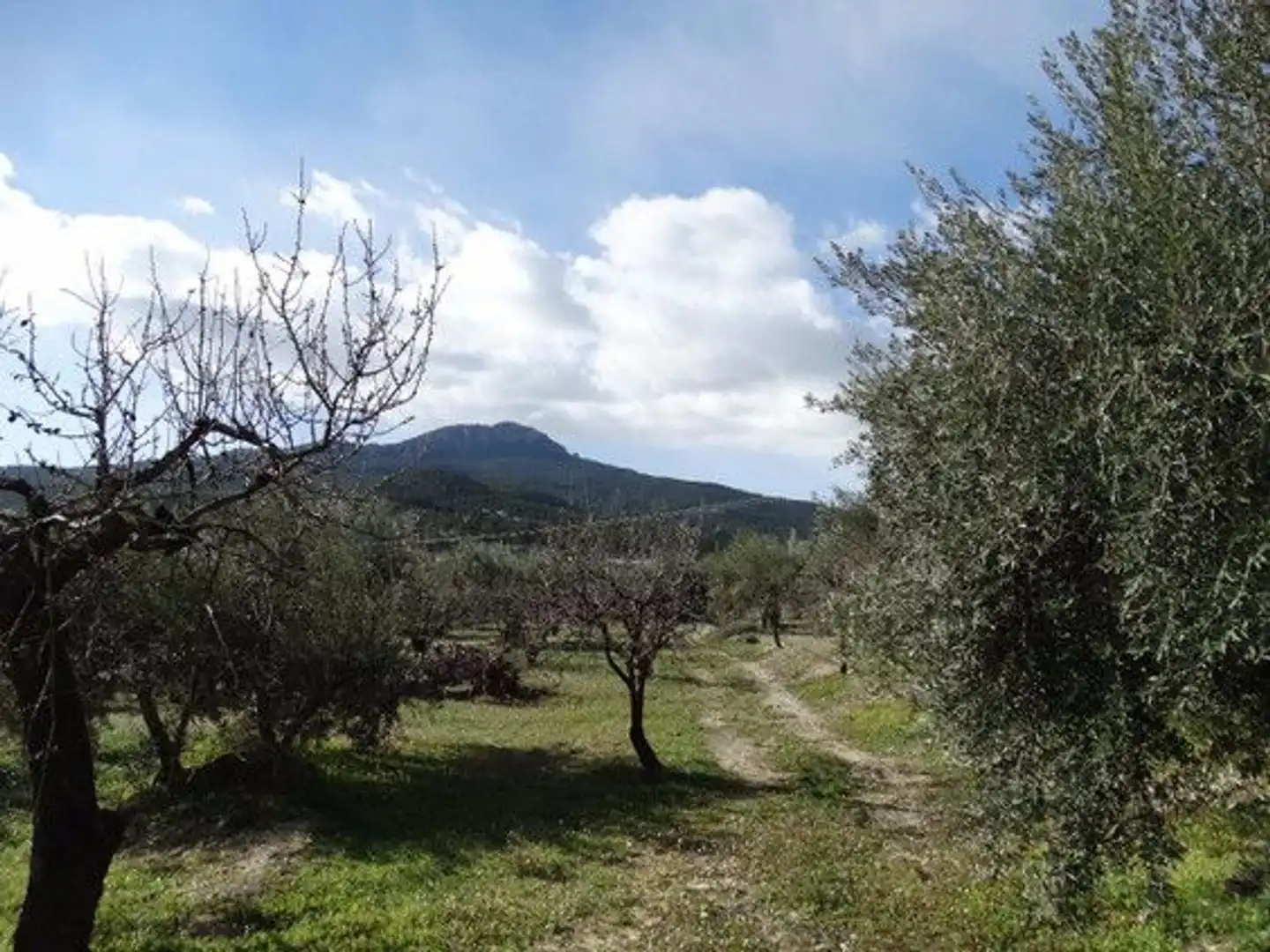 Terreni e lotti in vendita a Moratalla, imagen 5