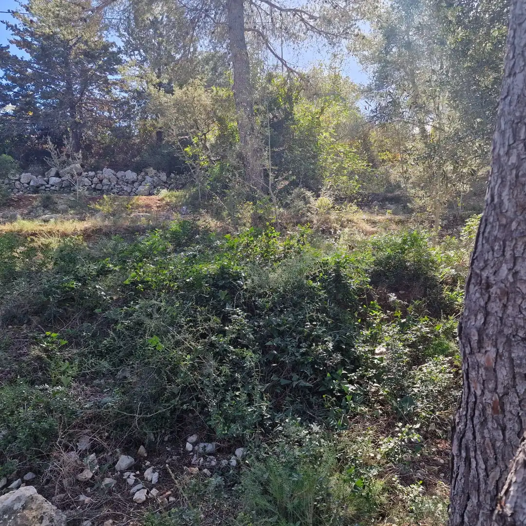 Terreno residencial en venta en Carrer Gessamí 18, imagen 24