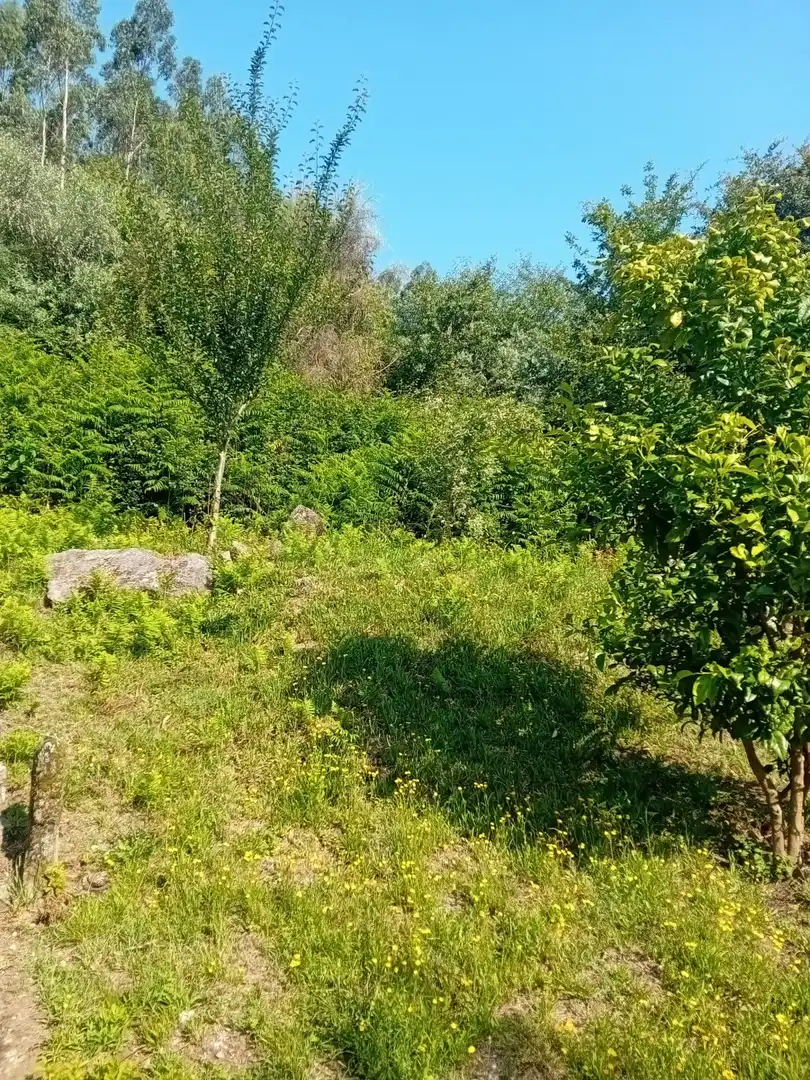 Maison à vendre à Tui, imagen 15