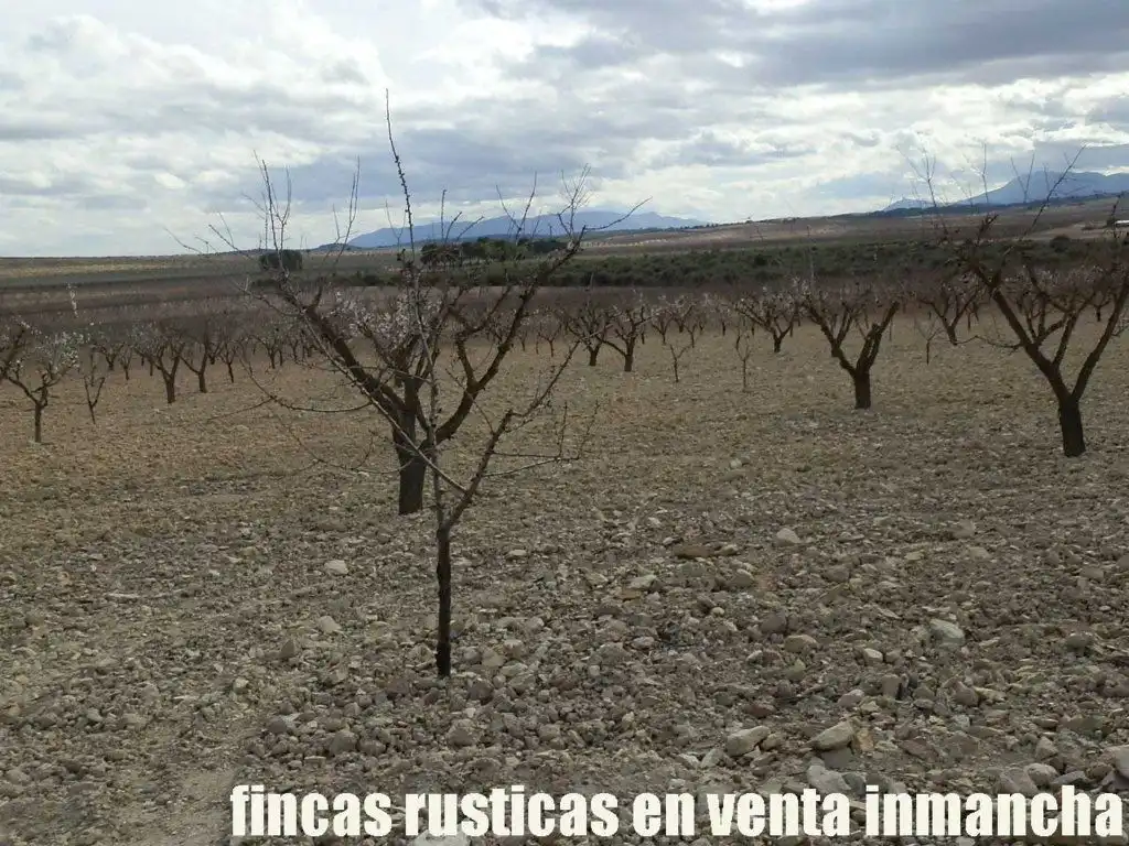 Rustikales Grundstück zum Verkauf in Cieza, imagen 12