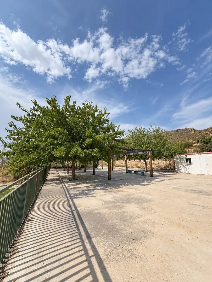 Xalet amb jardí en venda a Blanca, imagen 14