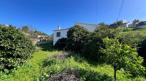 Foto 3 de Finca rústica en venda a Norte - Barrio del Pilar - El Reñidero, Vélez-Málaga