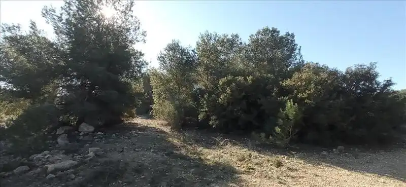 Land for sale in Los Montesinos