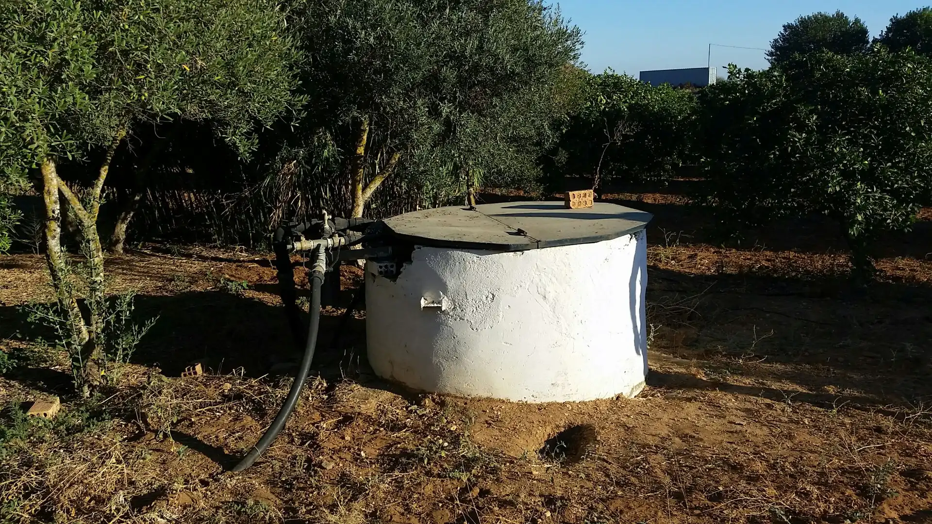 Terreno rustico in vendita a Calle San Pedro 1, imagen 2
