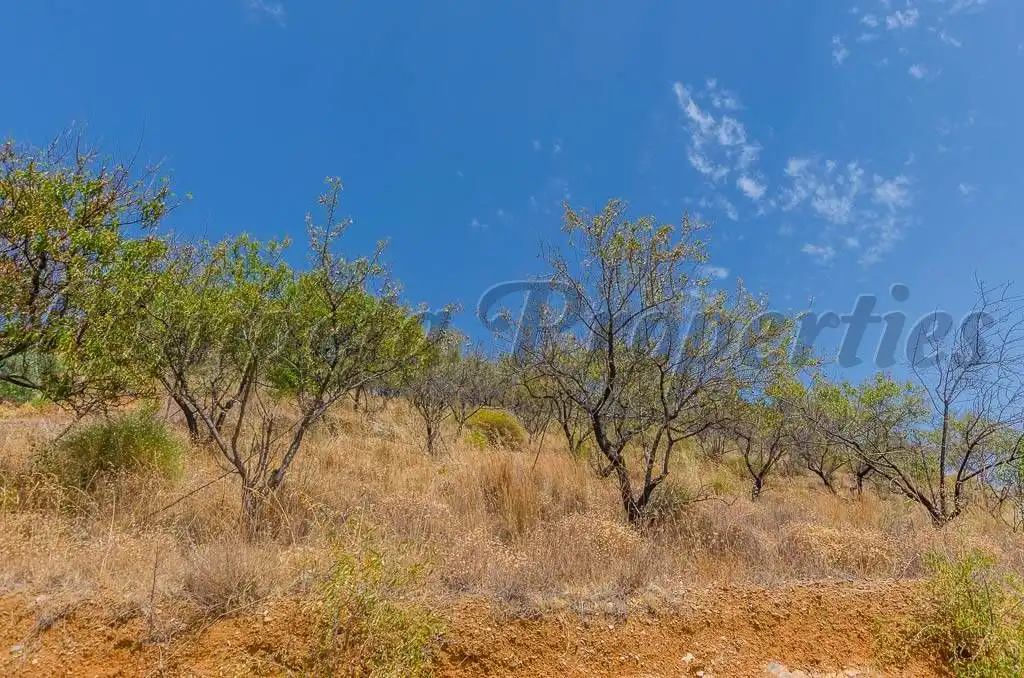 Terreno rústico en venta en Sedella, imagen 7