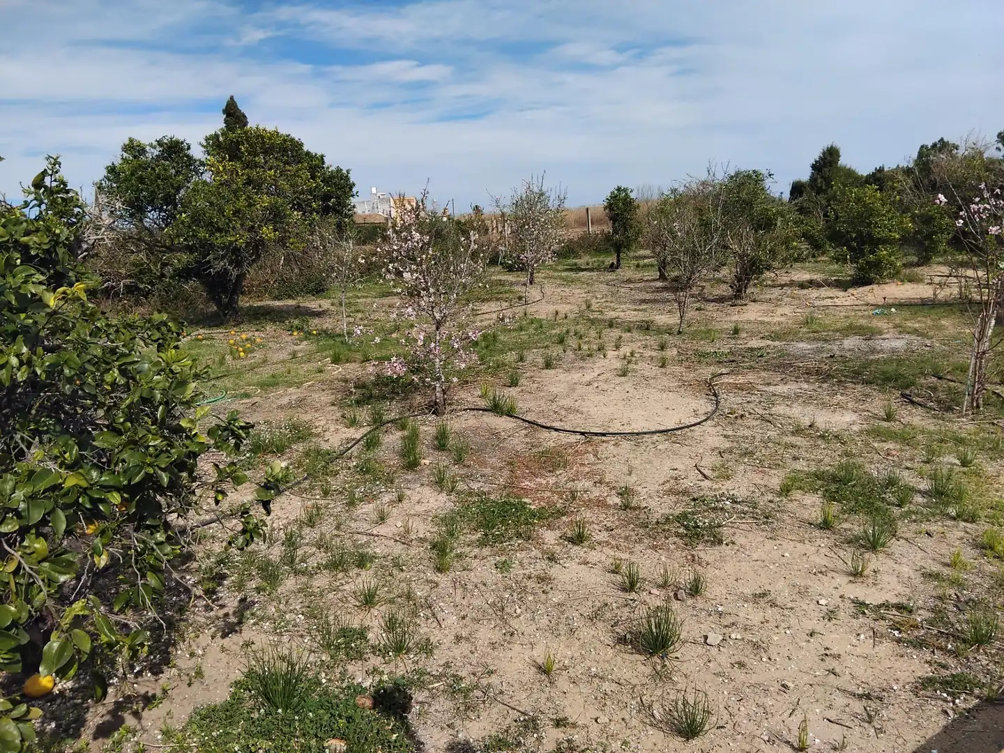 Villa avec jardin à vendre à El Marenyet, imagen 14