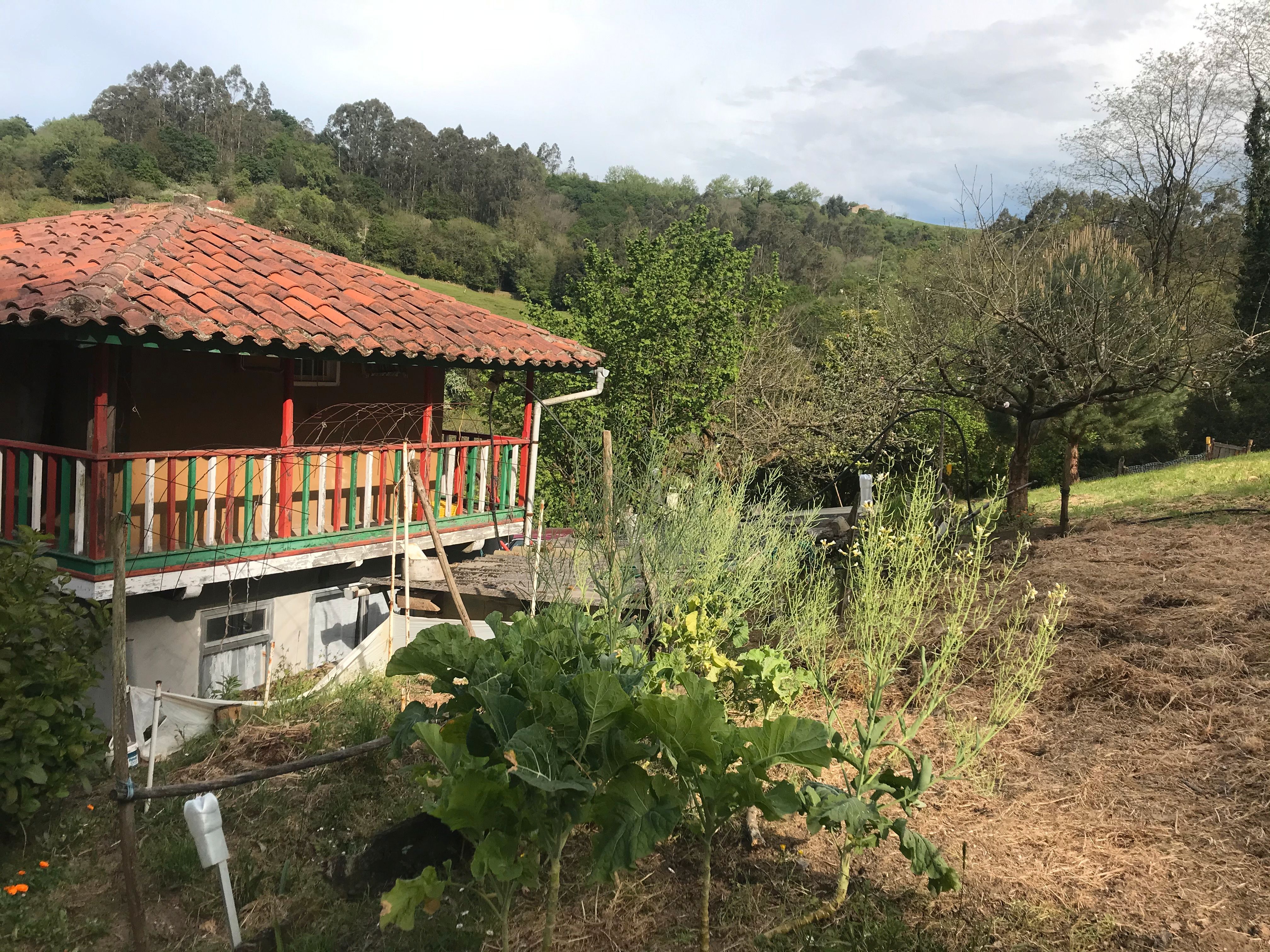 Vista exterior de Finca rústica en venda en Gijón  amb Jardí privat, Traster i Moblat