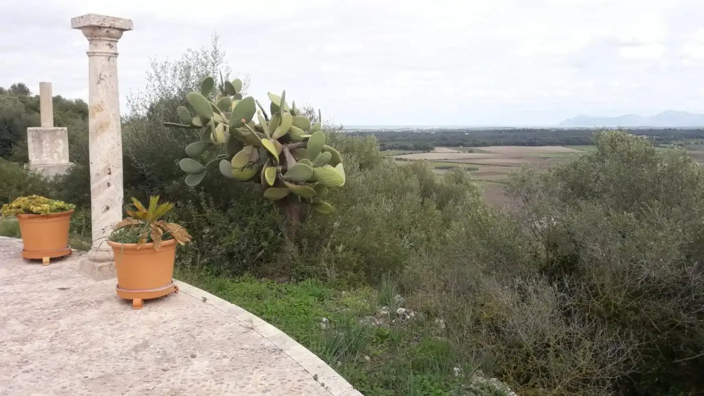 Garden of Houses for sale in Muro  with Heating, Private garden and Terrace