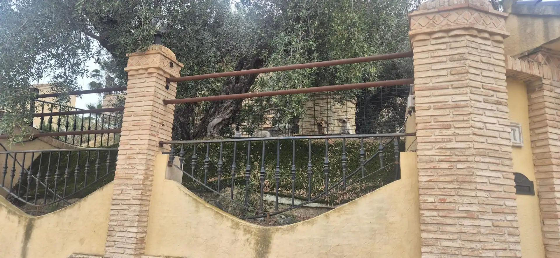 Chalet con piscina en venta en Calle de las Islas Medas 7, imagen 9
