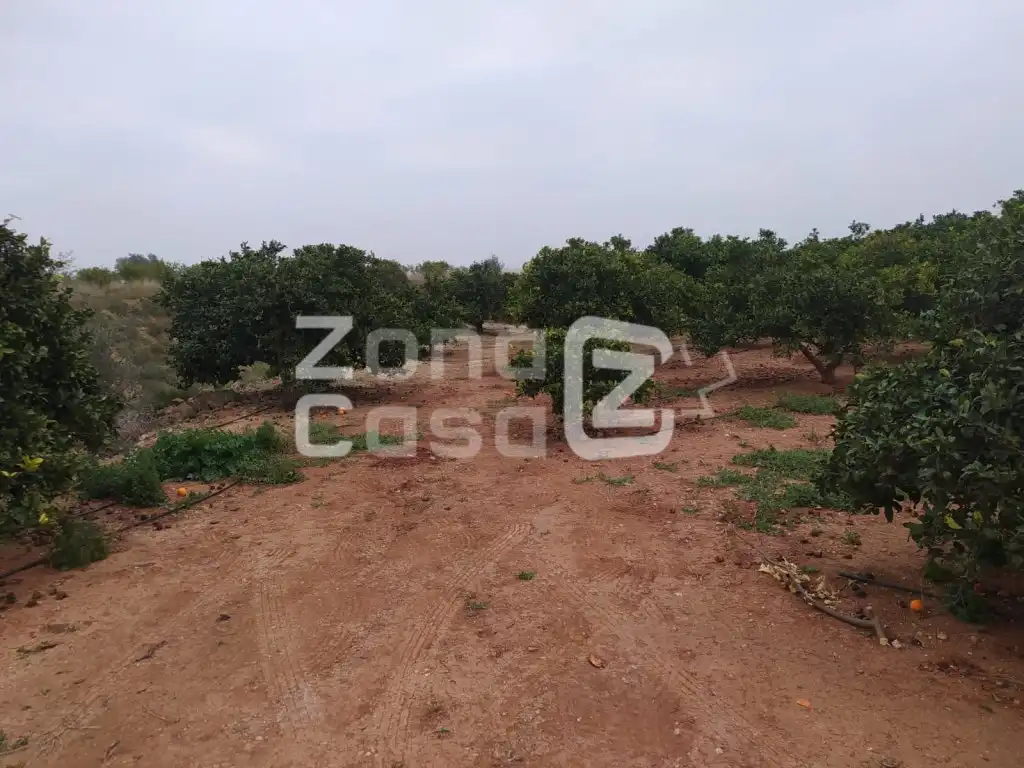 Country house for sale in Alfarb, imagen 7