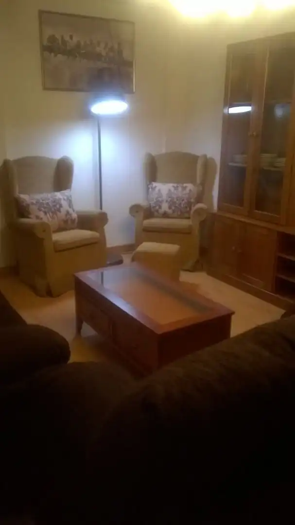 Wohnzimmer von Wohnung zur Miete in Salamanca mit Heizung, Parkett und Möbliert