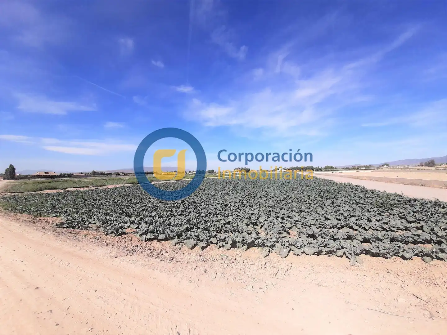 Terreny residencial en venda a Pedanías Centro, imagen 2