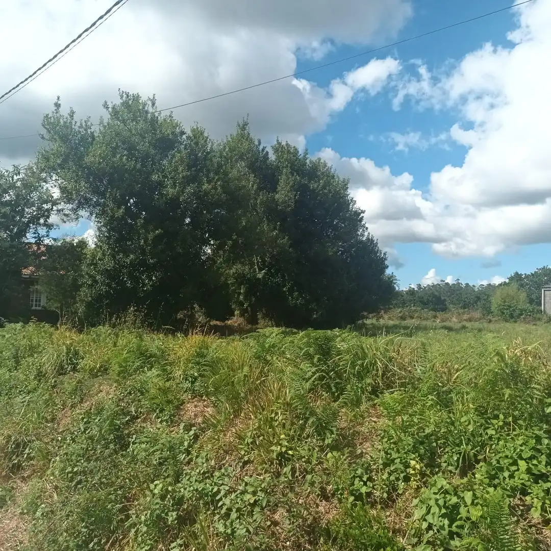 Finca rústica en venta en Santa Comba con Jardín privado