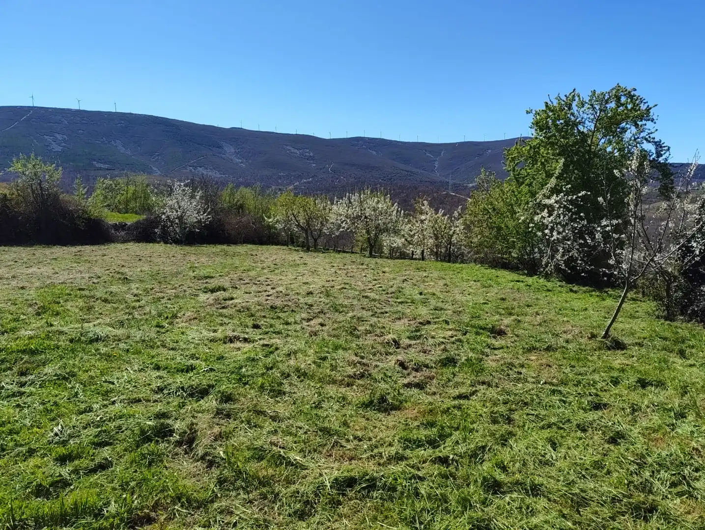 Land for sale in Castropodame