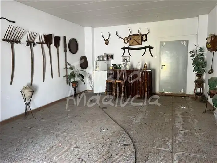 Detached homes for sale in Fuente-Tójar  with Storage room and Internet