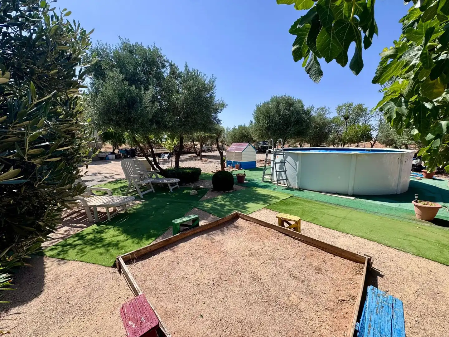 Jardí de Finca rústica en venda en Membrilla