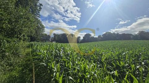 Photo 4 of Residential for sale in Cardoso, Pría - Nueva-Hontoria - Naves, Asturias