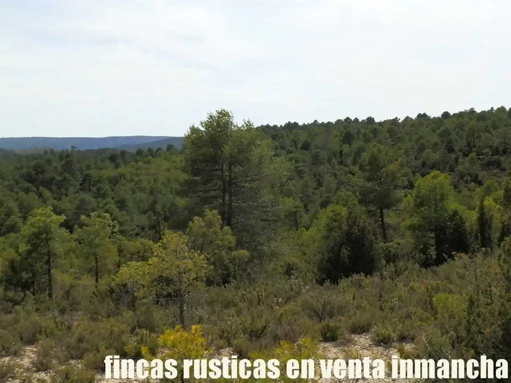 Terreni e lotti in vendita a Carboneras de Guadazaón, imagen 7