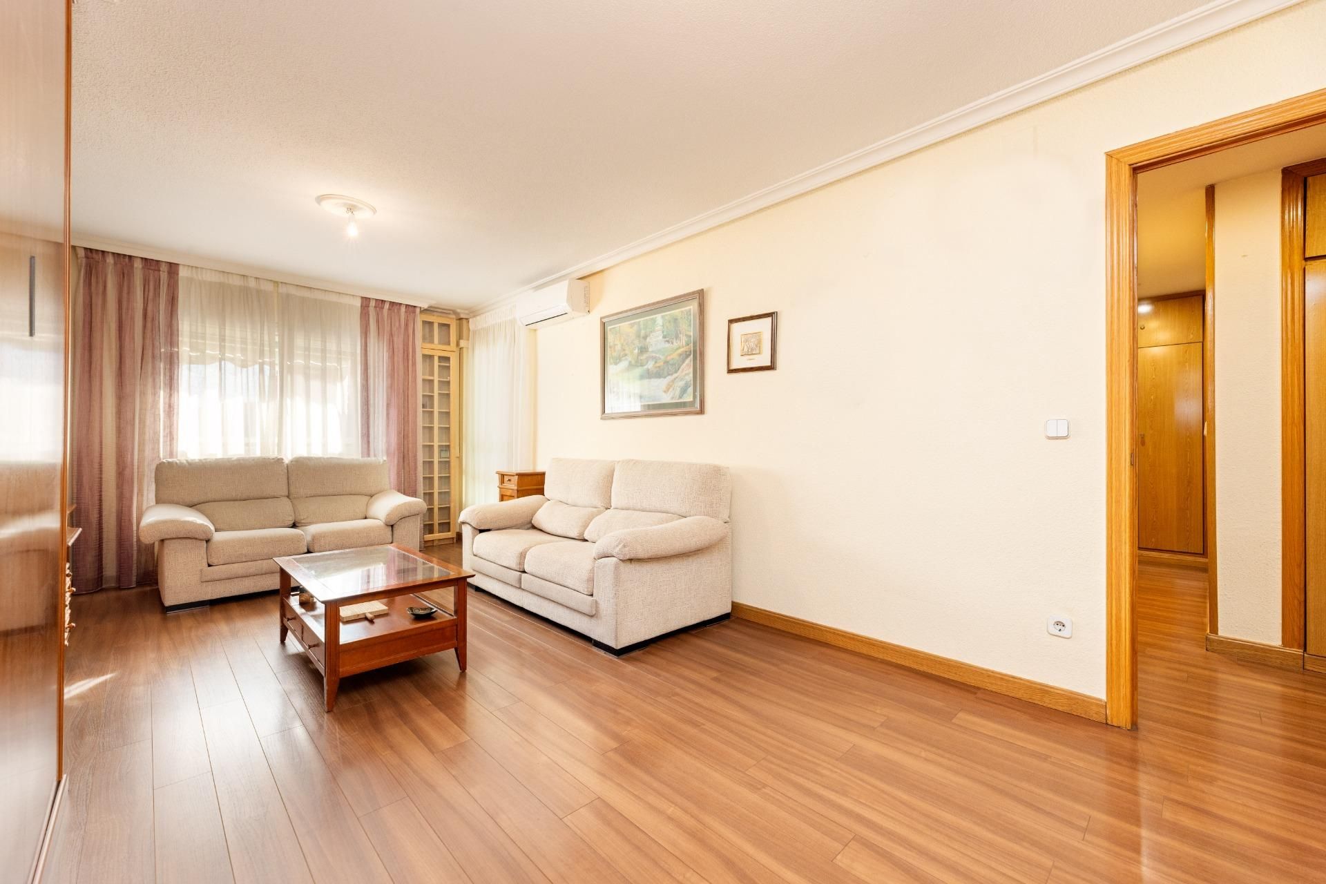 Living room of Flat for sale in  Madrid Capital  with Air Conditioner and Heating